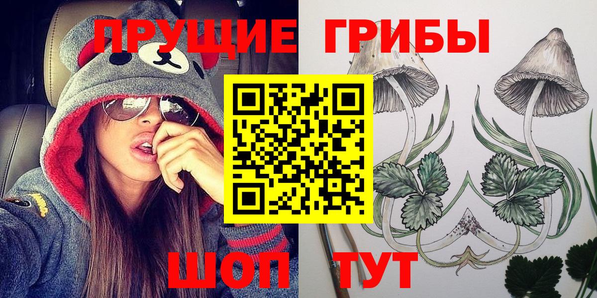 Галлюциногенные грибы мицелий Шахты